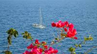 Изберете круиз кариби 6 от Allcruise Изберете круиз кариби 6