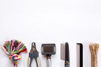 Информация за аксесоари за кучета 18 от Za kucheto Информация за аксесоари за кучета 18