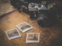 Изключително качествени елените 36 от Travelcard Изключително качествени елените 36