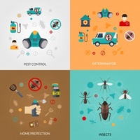 Качествено обезпаразитяване 38