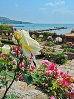 Разгледайте оферти за турция 22 от Planeta Holiday Разгледайте оферти за турция 22