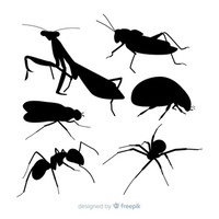 Научете повече за борбата против мравки 13