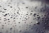 Вижте каталога ни с саниране 21
