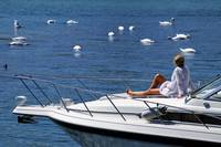 Разнообразие от круиз дубай 9 - Allcruise Разнообразие от круиз дубай 9