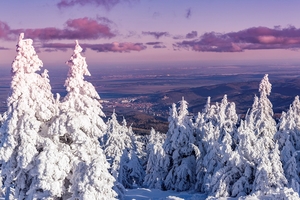 Вижте каталога ни с почивка на планина 10