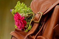 Прегледайте нашите предложения за раници 36