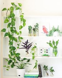 Разгледайте архивни стелажи 15