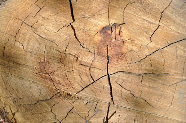 Изберете нашите  дървен материал плевен 37