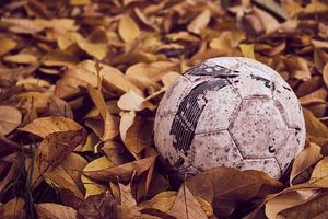 Видове футболни прогнози 8 - fbet.info Видове футболни прогнози 8