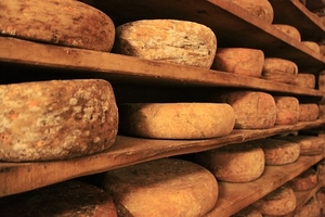 Намерете италиански продукти 14 - италиански продукти ООД Намерете италиански продукти 14