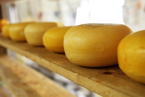 Най-предпочитаните италиански продукти 29 - италиански продукти ООД Най-предпочитаните италиански продукти 29