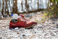 Видове маратонки Adidas 32