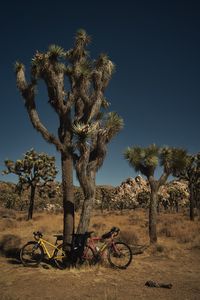 Изберете National Geographic 18 - Elephantbookstore Изберете National Geographic 18