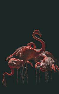 Нашият каталог с National Geographic 23 - Elephantbookstore Нашият каталог с National Geographic 23