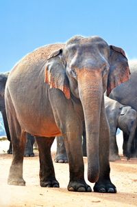 Информация за National Geographic 30 - Elephantbookstore Информация за National Geographic 30