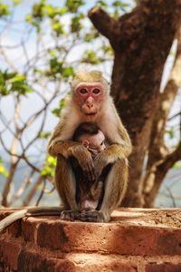 Информация за National Geographic 4 - Elephantbookstore Информация за National Geographic 4