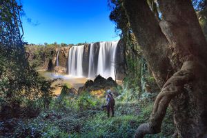 Изберете National Geographic 8 - Elephantbookstore Изберете National Geographic 8
