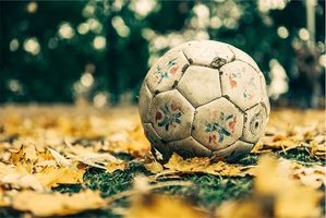 Информация за онлайн залози 31
