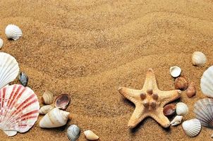 ХОТЕЛ ЧЕРНО МОРЕ ВАРНА - 50729 оферти ХОТЕЛ ЧЕРНО МОРЕ ВАРНА - 82454 оферти