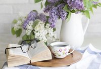 книги - 78720 - видове книги - 21053 - видове