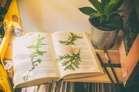 книги - 49806 - вижте нашите предложения книги - 82114 - вижте нашите предложения