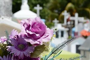 организация на погребение - 22235 бестселъри организация на погребение - 80753 бестселъри