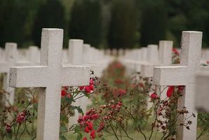 организация на погребение - 29158 разновидности организация на погребение - 83824 разновидности