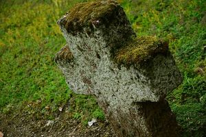 погребална агенция кипарис оборище - 83871 варианти погребална агенция кипарис оборище - 54251 варианти
