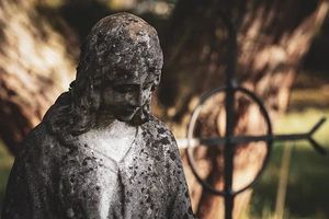 погребална агенция софия - 9860 типа