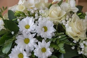 погребална агенция софия - 85422 промоции