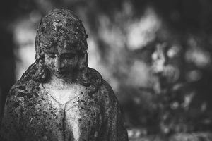 погребение цени - 24591 снимки