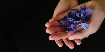 РЕХАБИЛИТАЦИЯ - 18005 комбинации РЕХАБИЛИТАЦИЯ - 35993 комбинации