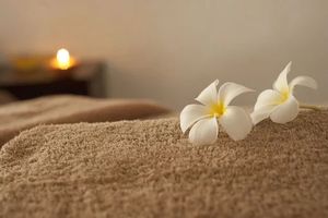 СПА ХОТЕЛИ С МИНЕРАЛНА ВОДА - 64942 отстъпки | Astor Garden Hotel СПА ХОТЕЛИ С МИНЕРАЛНА ВОДА - 61770 отстъпки