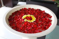 спа оферти - 79818 - Вижте повече