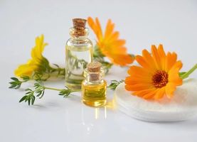 УЕЛНЕС - 99481 бестселъри УЕЛНЕС - 75272 бестселъри