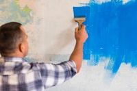 боядисване на стени - 41661 - изберете най-добрите