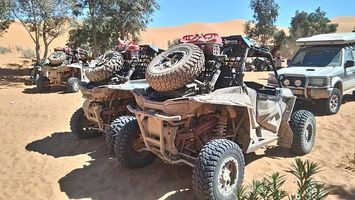 Buggies Lanzarote - 48120 types