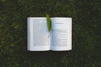стари книги - 31184 - разгледайте нашите предложения за