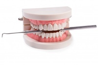 зъбен мост - 26334 - вземете от наште продукти