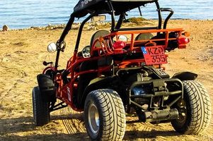 Buggies 4x4 - 81839 prices Buggies 4x4 - 72827 prices