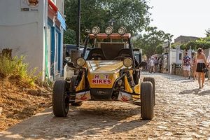 Buggies 4x4 - 15218 prices Buggies 4x4 - 73318 prices