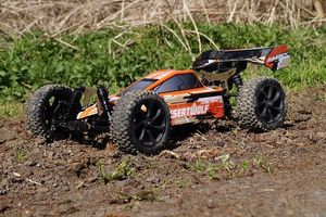 Dune Buggy - 12771 options