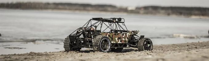 Dune Buggy - 66080 species