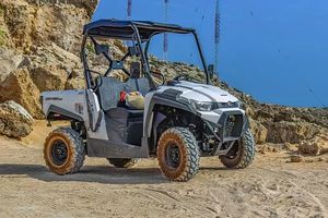 Dune Buggy - 58585 varieties