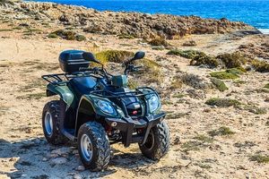 Dune Buggy - 19496 options