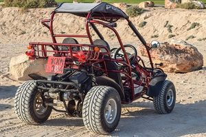 Dune Buggy - 36041 species