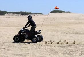 Dune Buggy - 95878 species