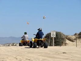 Dune Buggy - 81321 types