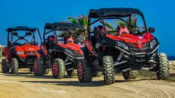 Dune Buggy - 94700 types