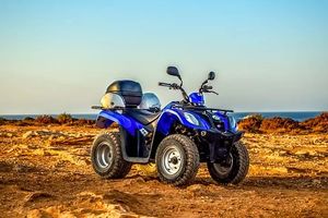 Dune Buggy - 25884 suggestions